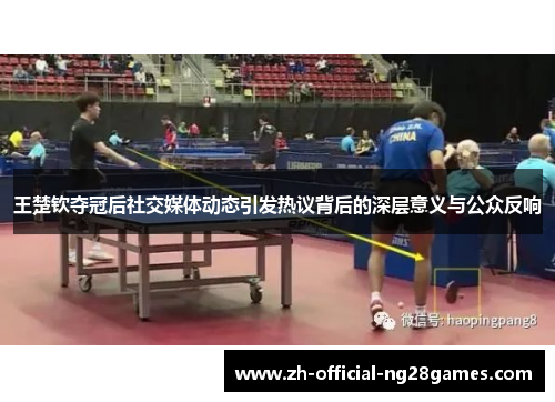 王楚钦夺冠后社交媒体动态引发热议背后的深层意义与公众反响