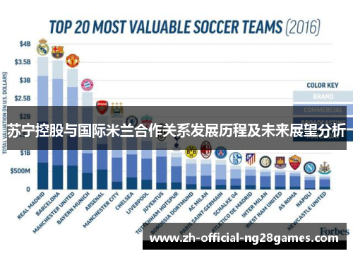 苏宁控股与国际米兰合作关系发展历程及未来展望分析