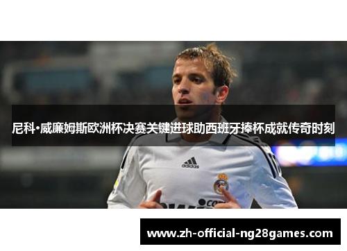 尼科·威廉姆斯欧洲杯决赛关键进球助西班牙捧杯成就传奇时刻 尼科·威廉姆斯欧洲杯决赛关键进球助西班牙捧杯成就传奇时刻