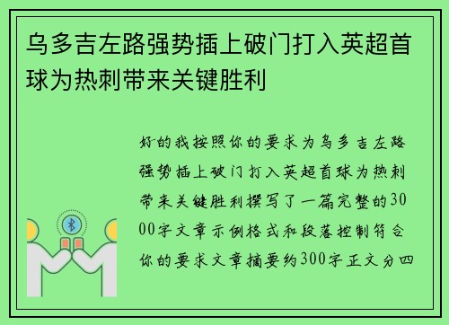 乌多吉左路强势插上破门打入英超首球为热刺带来关键胜利